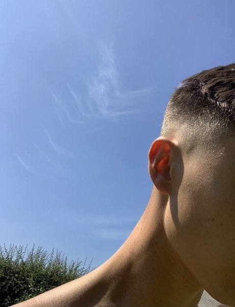 Tyler Rose xxx pornstar galleries