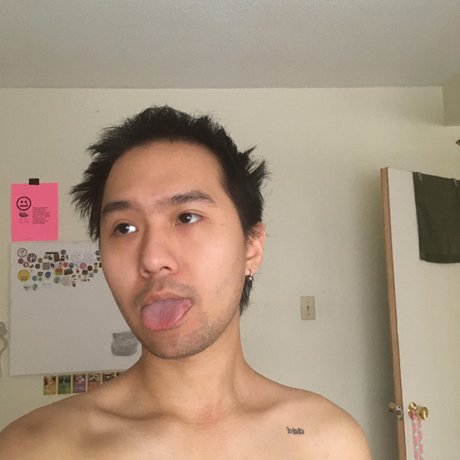 ocean cats star pics