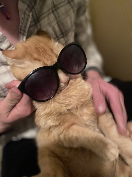 Christian Winning pornstar beautiful gallery