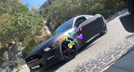 Dylan Adams pornstar top image