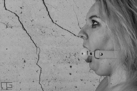 Scarlette Von Vixen star pretty pictures