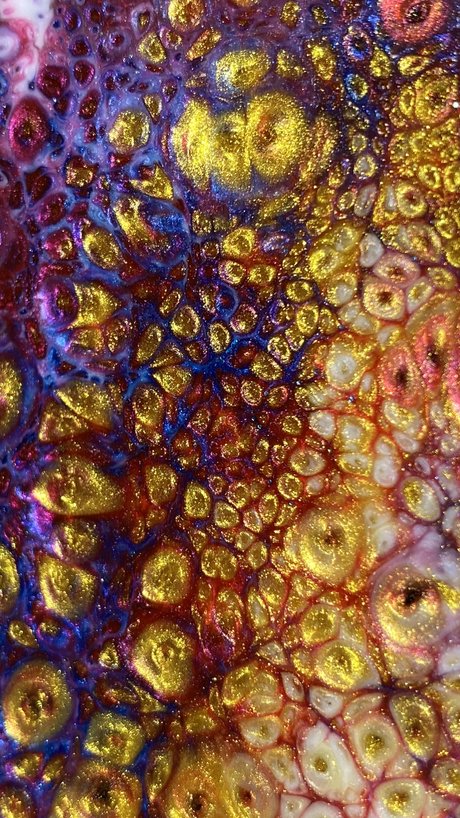 xntriclatin pornstar nice gallery