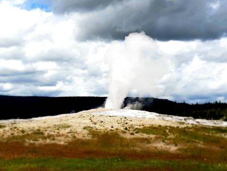 Michael Onroe erotic actress images