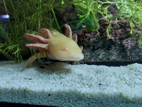 OnlyFishFans star nudes archive