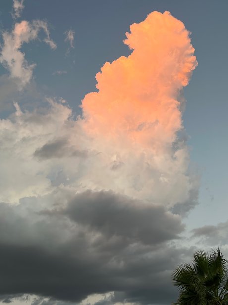 Datsun pornstar naked gallery