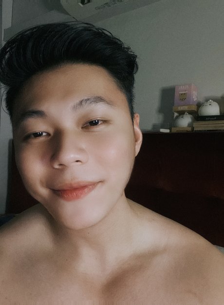 Crouching Tiger top model picture