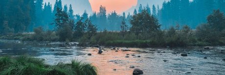 Eels nice pornstar picture