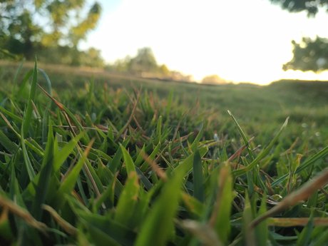 J Victor sexy model pics