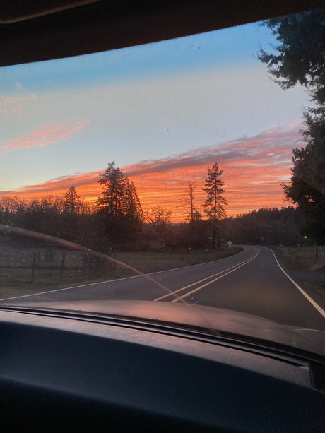 Fishie Fiend porn model pics