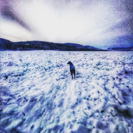 Old Man Willow erotic pornstar picture