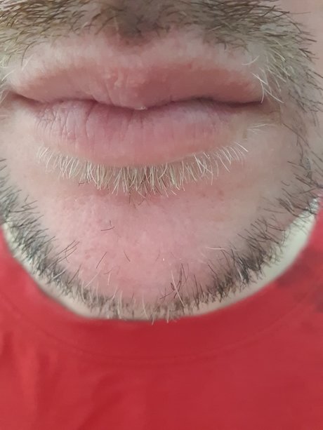 Nicolas C spedes top pornstar img