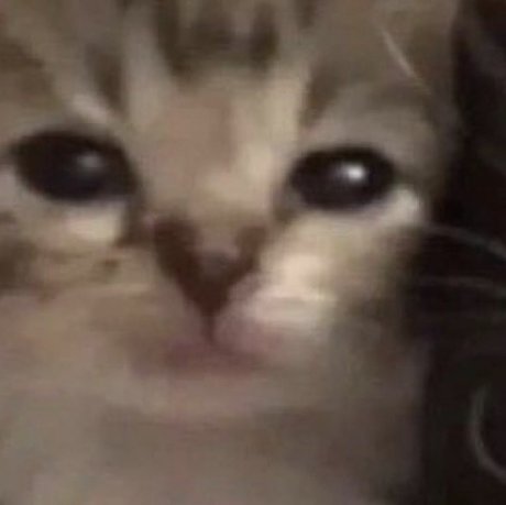 kepega pornstar high quality pic