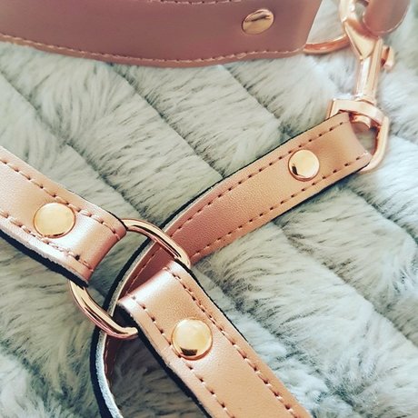 Poppy DuFrance star hot galleries