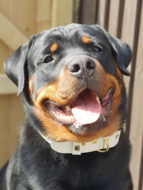 Silkin Day top model img