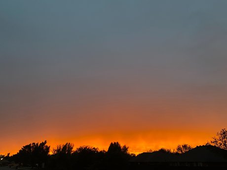 Maria Brunner actress gallery