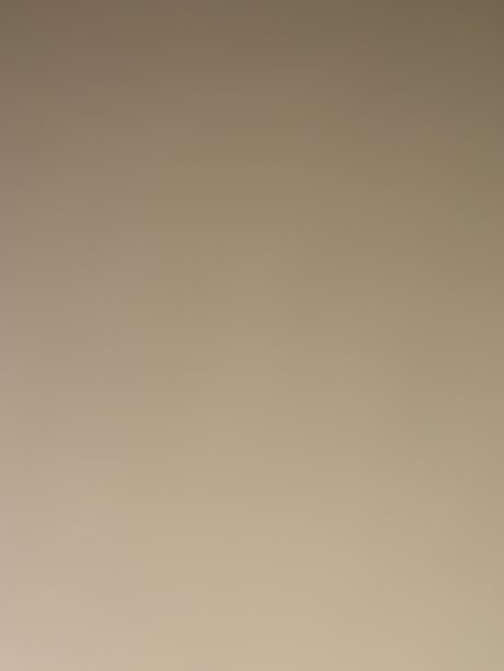 u16293137 model best image