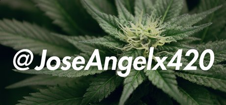 Jose Angel star archive