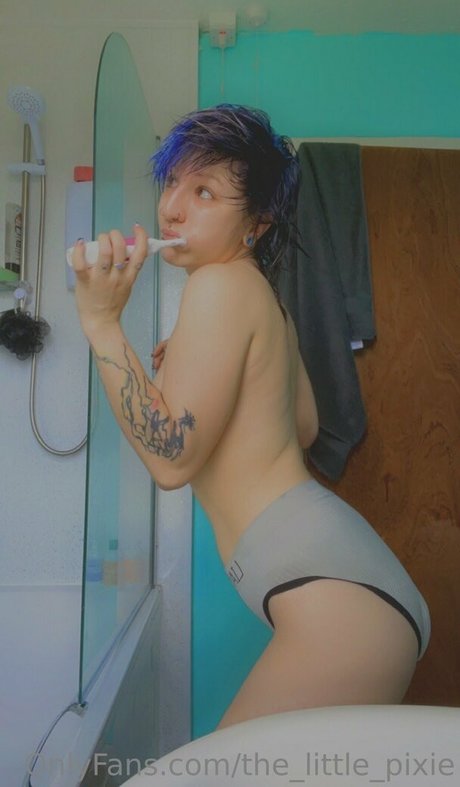 the little pixie pornstar art pictures