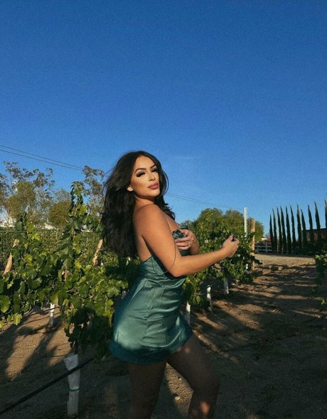 Rayleen Vega pornstar adult image