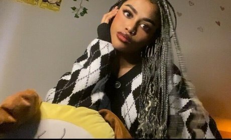 oil7ll star nice galleries