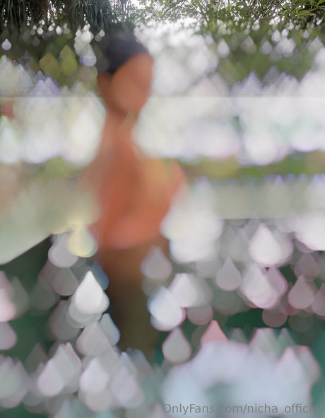 nicha official sex star galleries