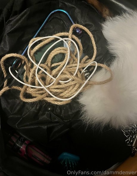 dammdenver pornstar sex gallery