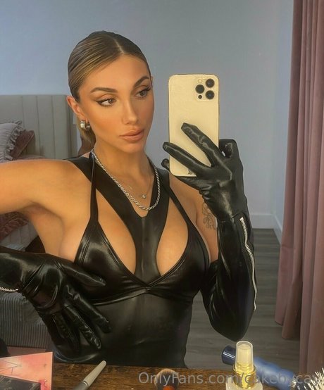 csecretss hd model archive