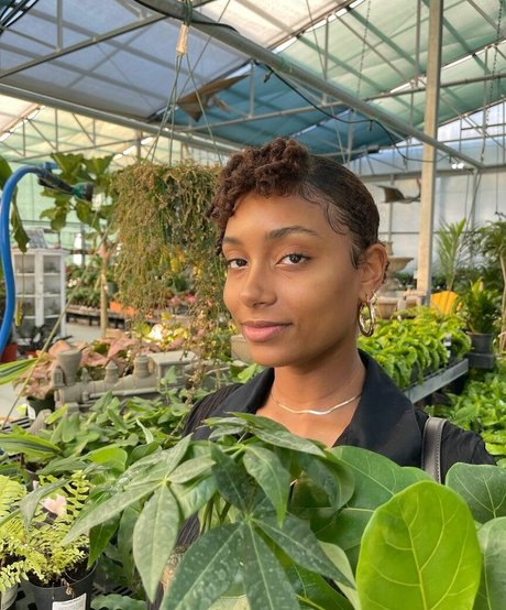 Plantbae model art image