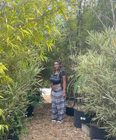 Plantbae pornstar archive