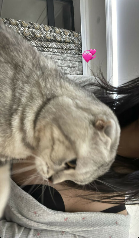 aerri lee pornstar top pictures