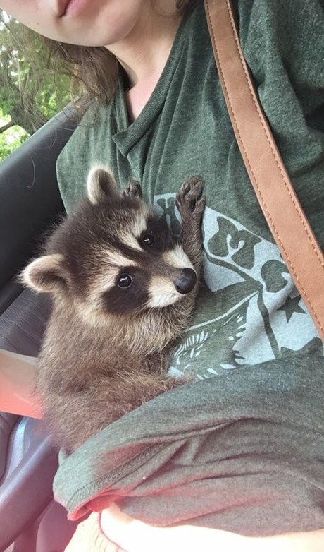 Rose Castella hot actress images