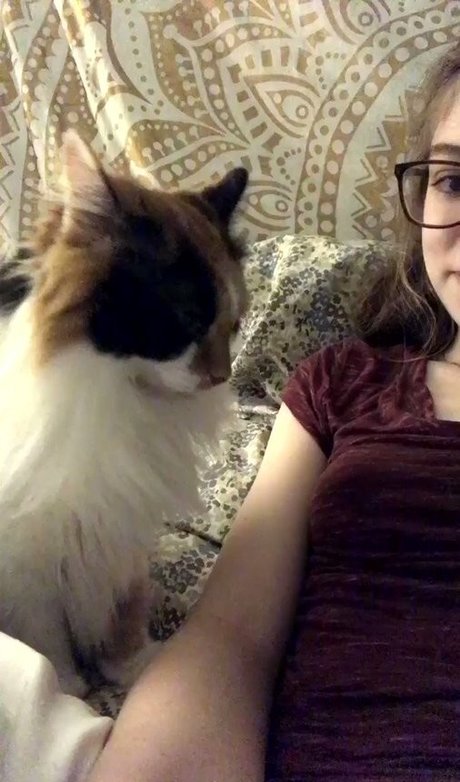 Rose Castella top model images