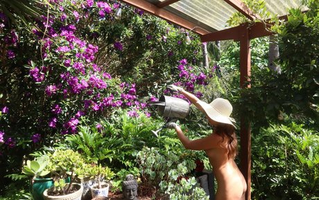 Jessa The Nude Blogger pornstar beautiful pictures