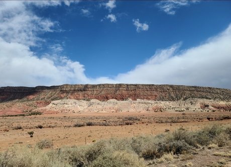 cui free art actress gallery