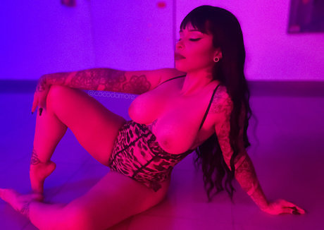 Cocodamore top star pictures