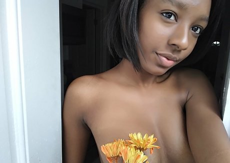 KittenKream xxx star picture