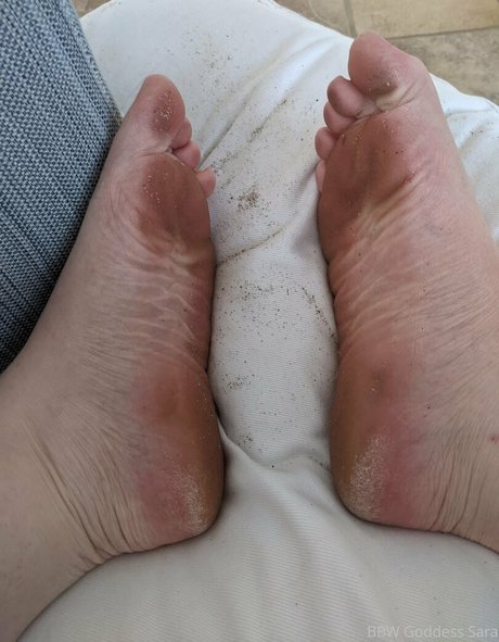 bbwgoddesssara sex pornstar galleries