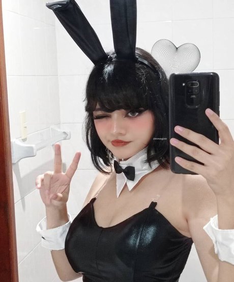 Evsagoo star art photos