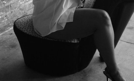 NikkisaStallion star hot image