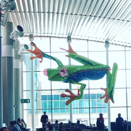 Hot life top star pic