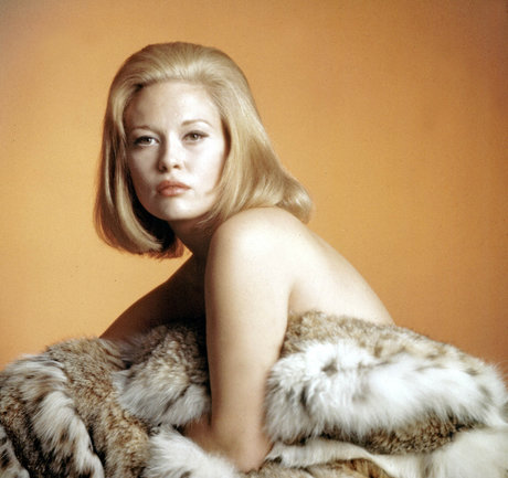 Faye Dunaway pornographic model gallery