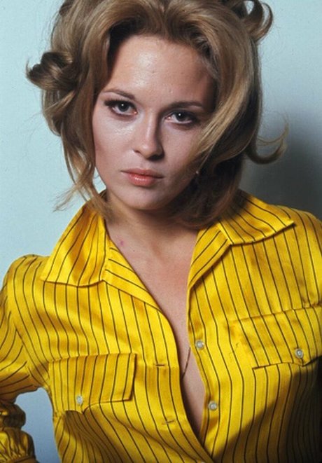 Faye Dunaway model beautiful pic