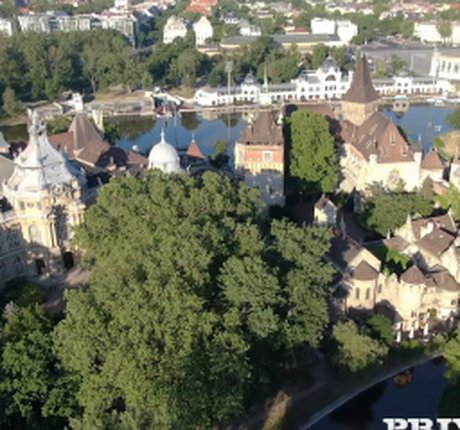 Barbie Brill sex pornstar img