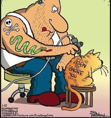 realbody001 xxx pornstar img