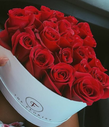 Kika porn actress gallery