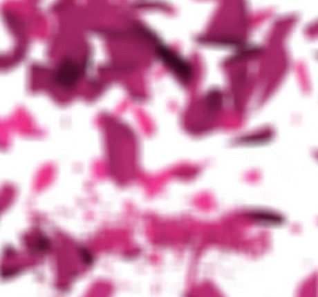 Girlsrimming top pornstar pic