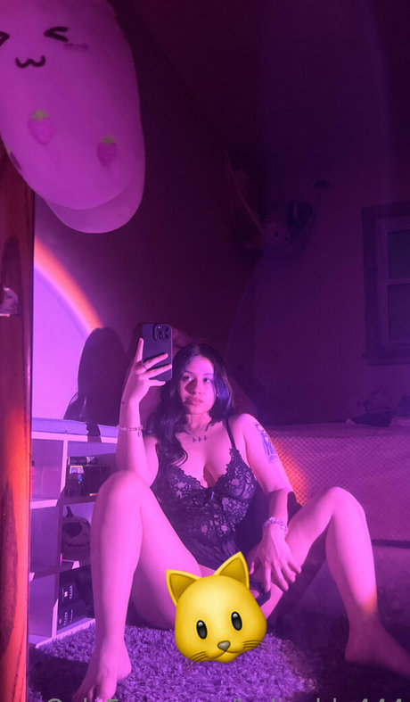 Indicablu444 model best archive