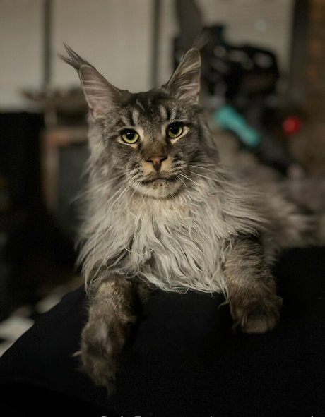 sperry69 naked actress gallery