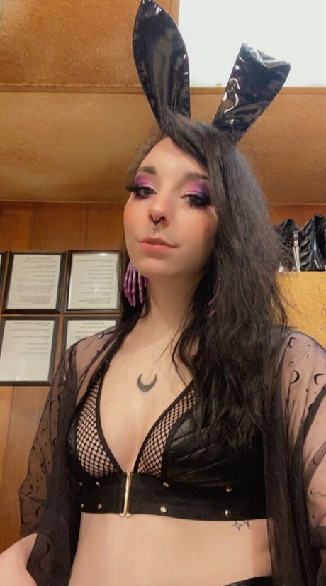 svxxvbvs star sex archive