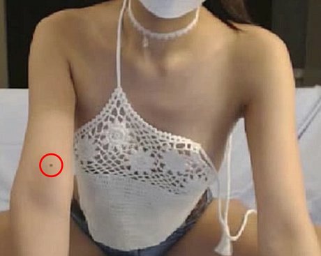 seoa sa pornographic model galleries